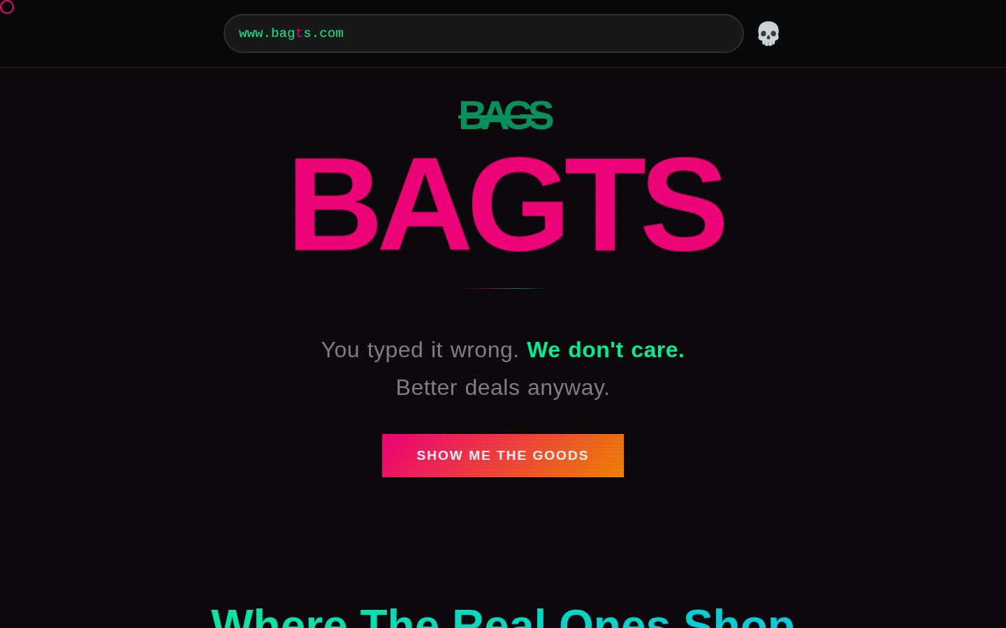 Bagts website preview